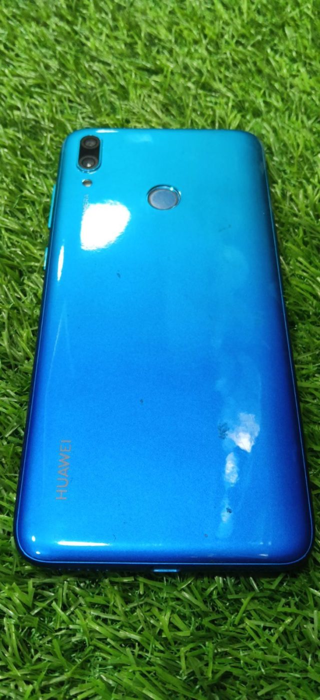 Y6P
